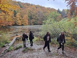 5653316631282402587021020101490793125159183n